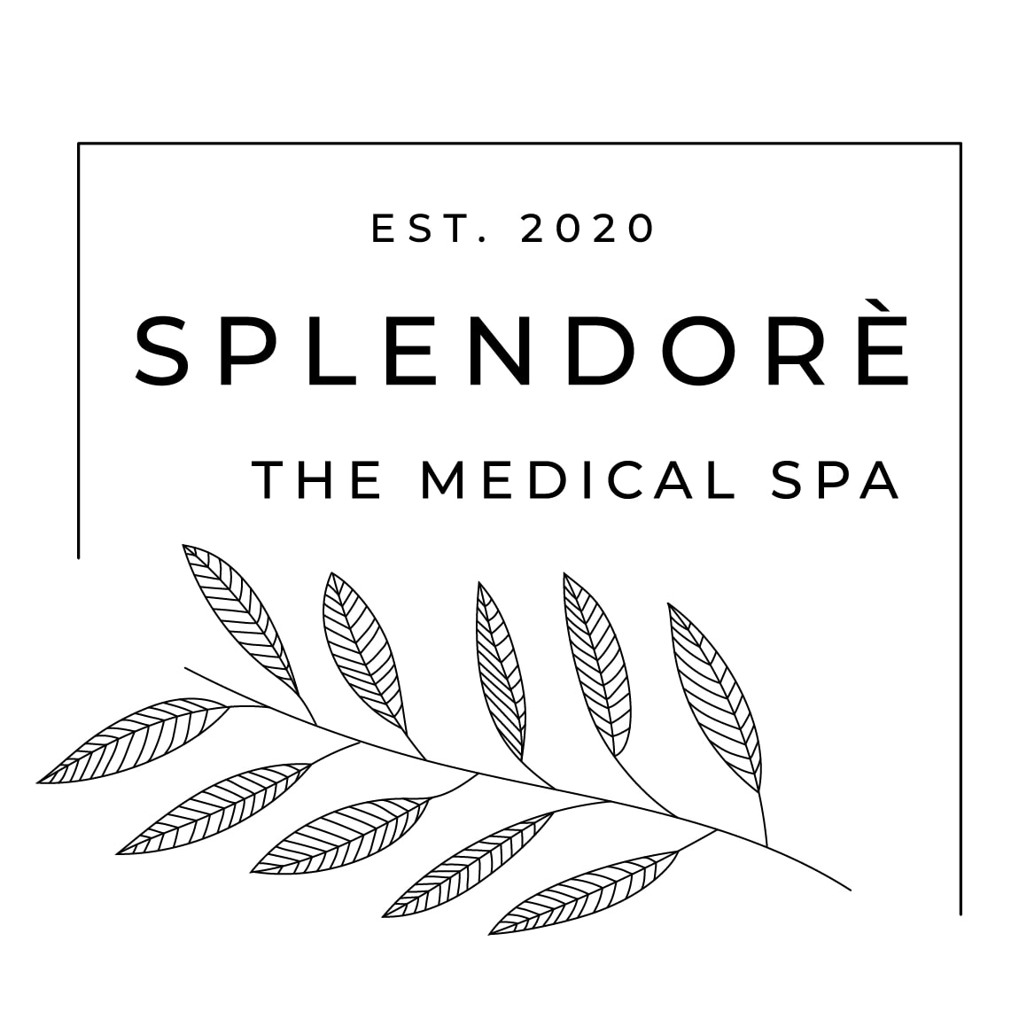 Splendore The Medical Spa-avatar