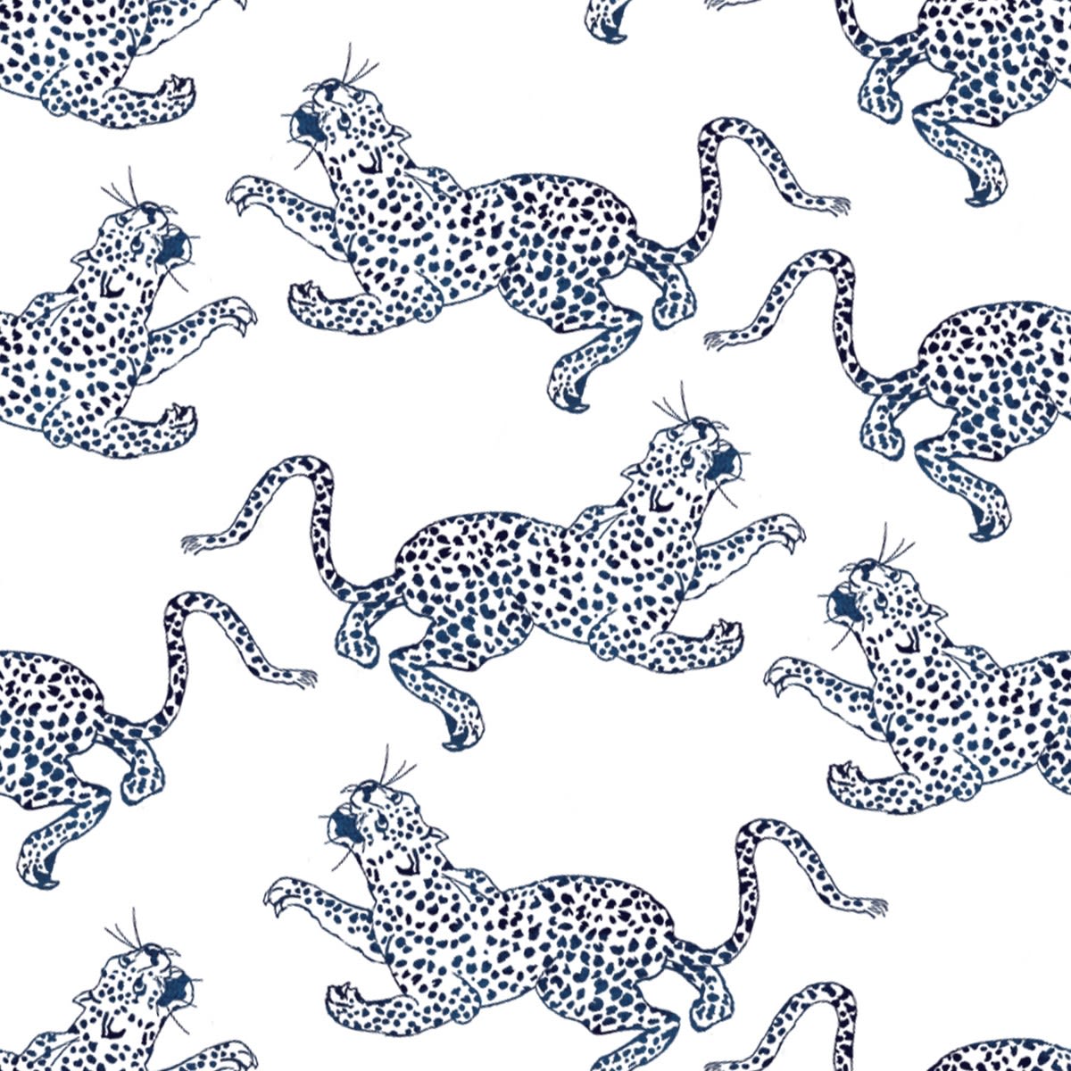 SHOCK PLASTIC SURGERY & SPA-avatar