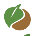 Green Leaf and Pebble Med Spa-avatar
