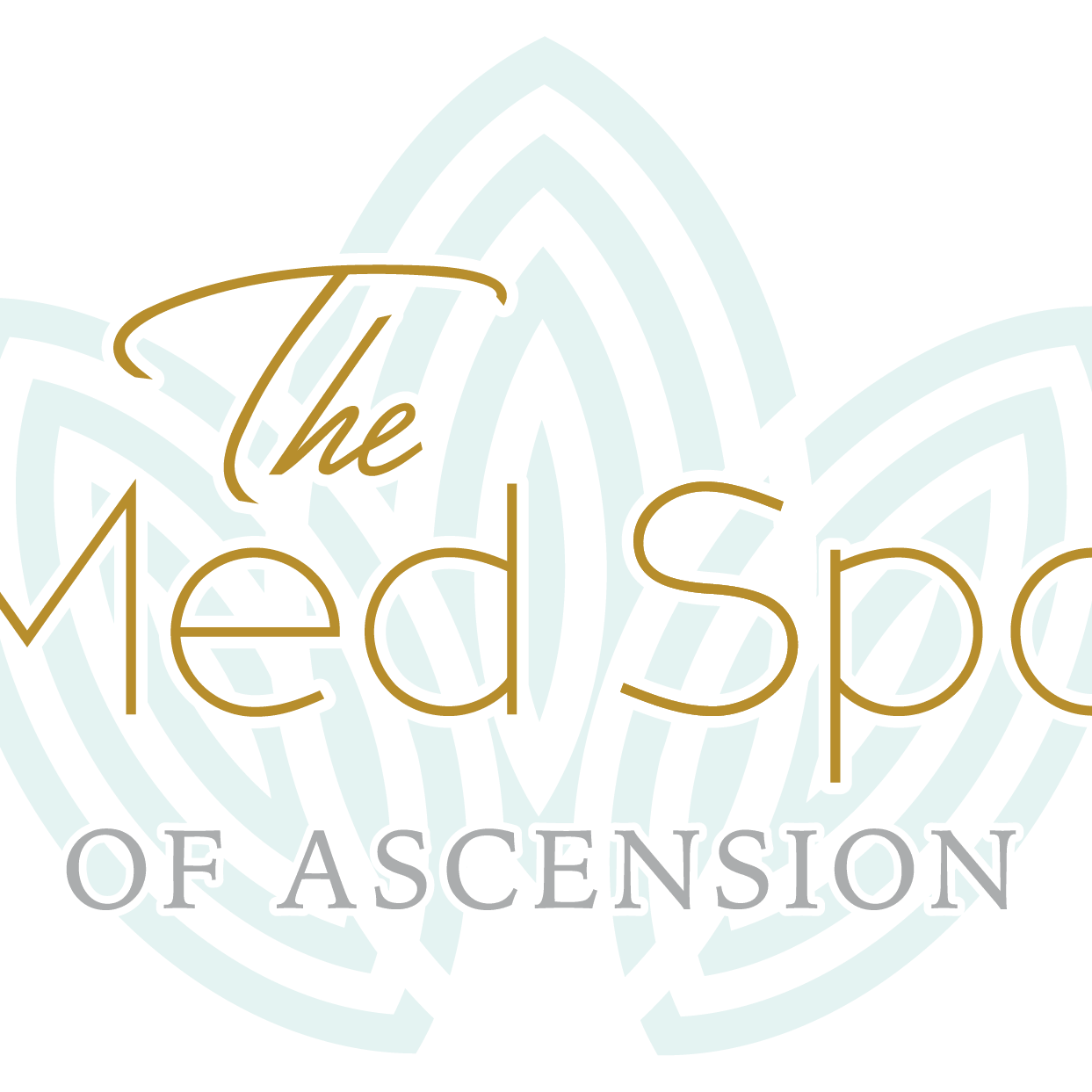 THE MED SPA OF ASCENSION-avatar