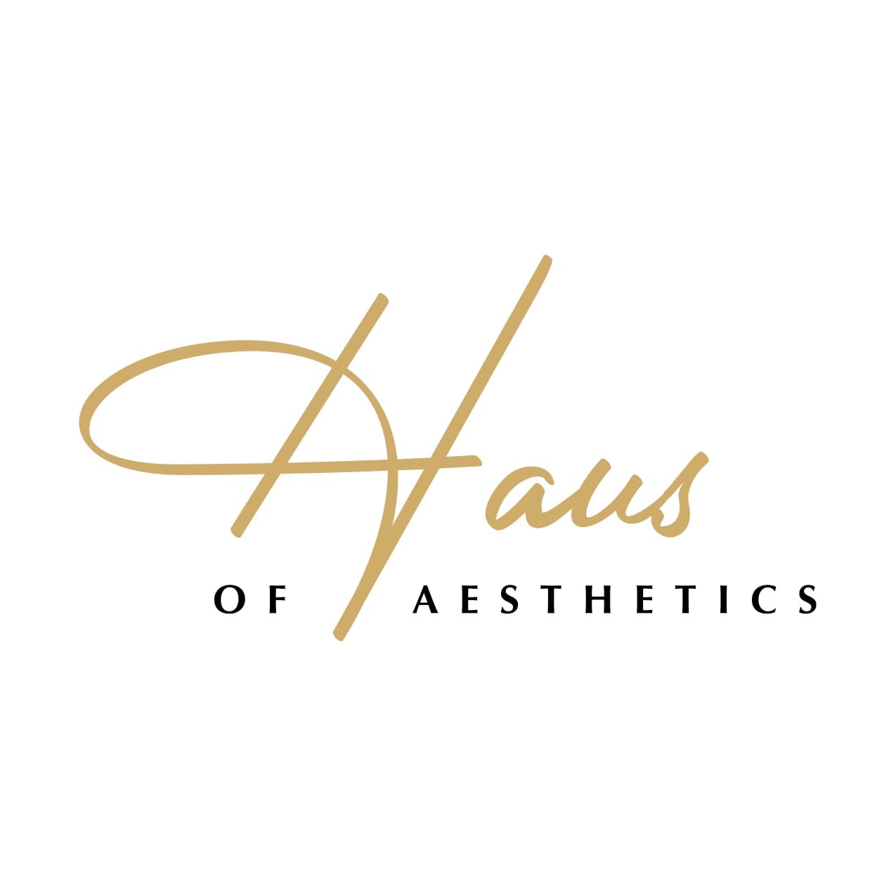 Haus of Aesthetics Provo-avatar