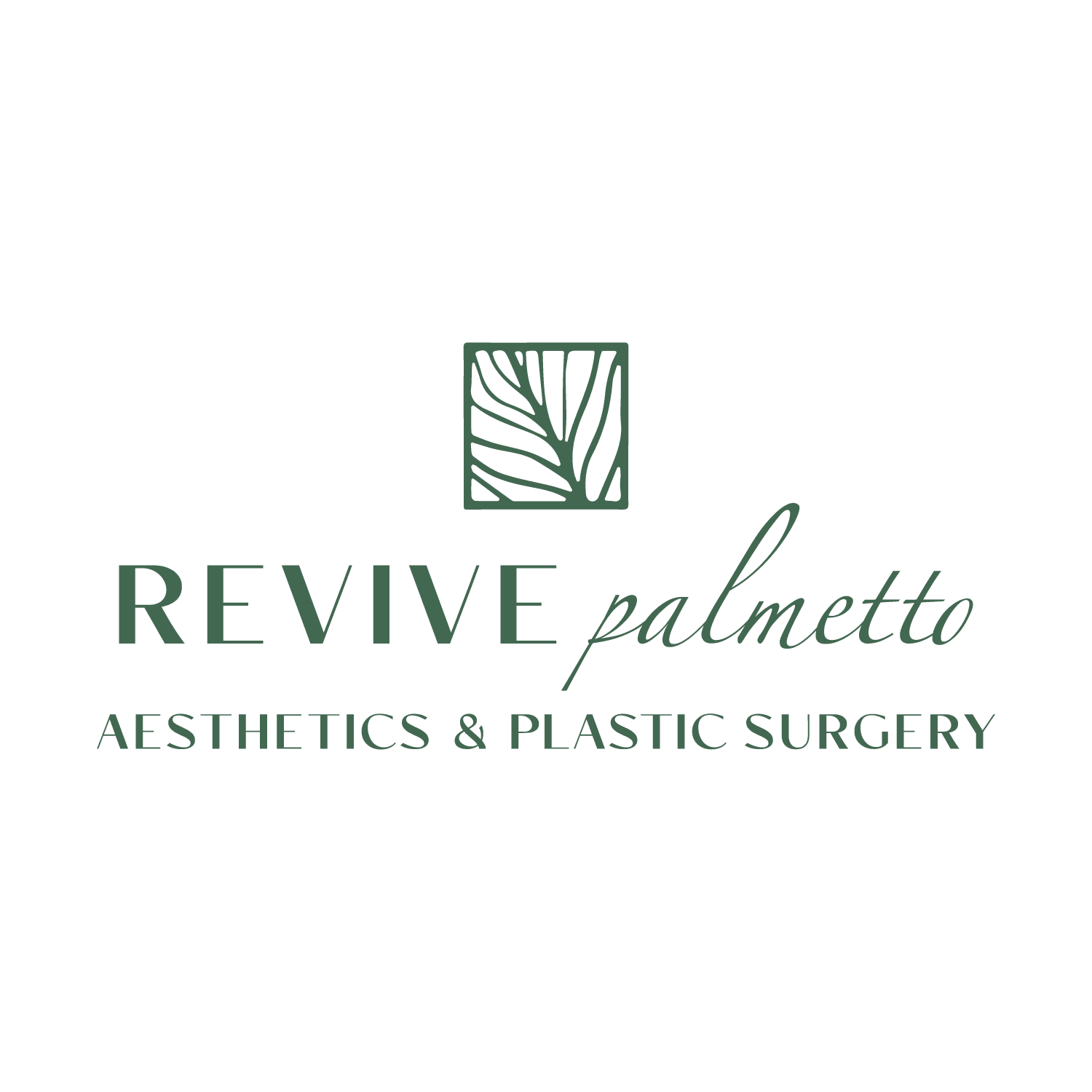 REVIVE PALMETTO-avatar
