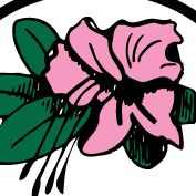 Azalea Skin Treatment Center-avatar