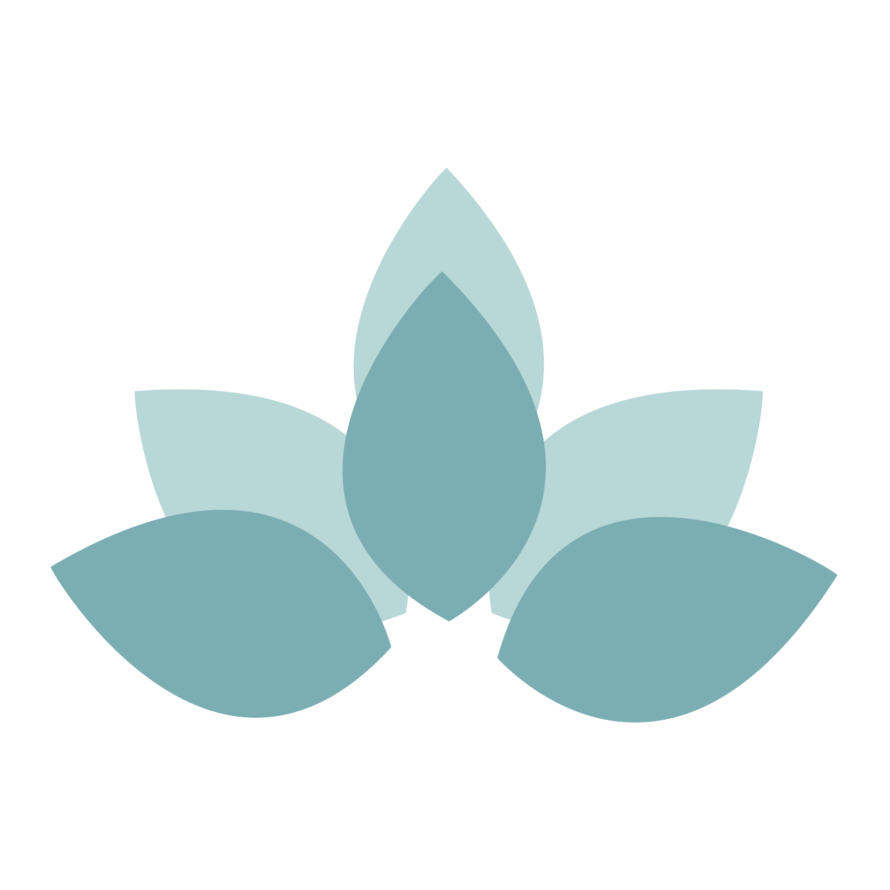 Bonneville Medical Aesthetics-avatar