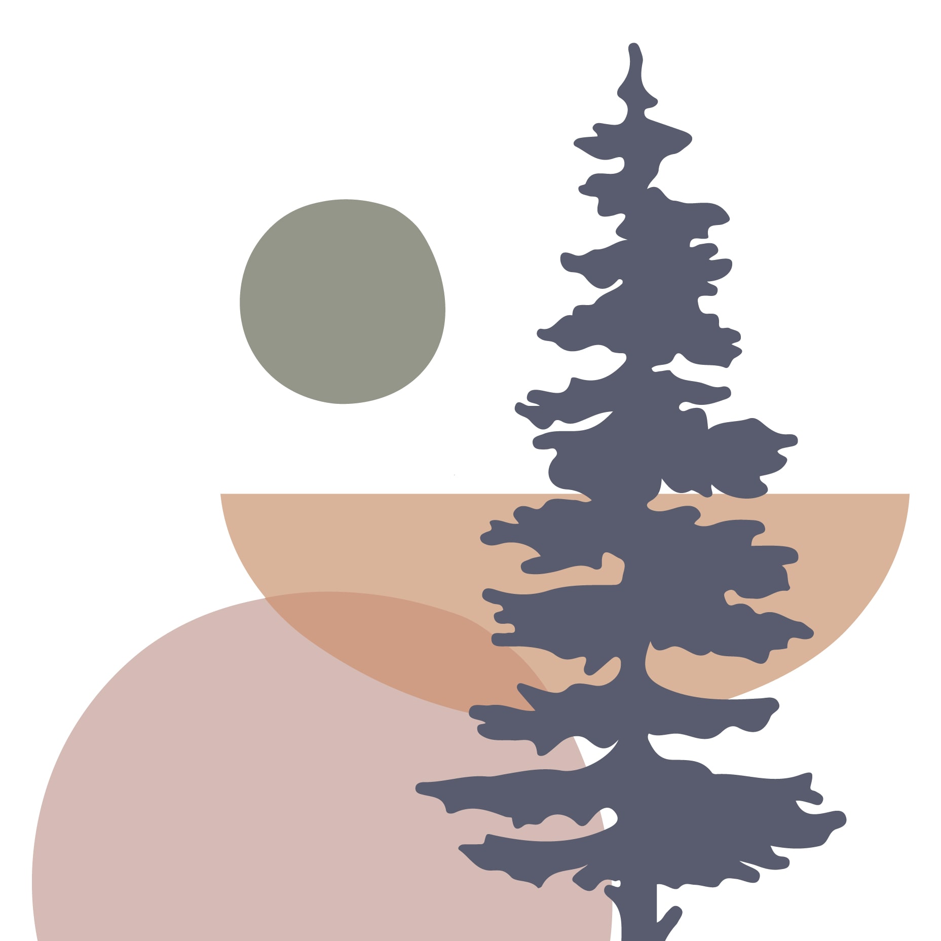 Evergreen Oculofacial Plastic Surgery-avatar