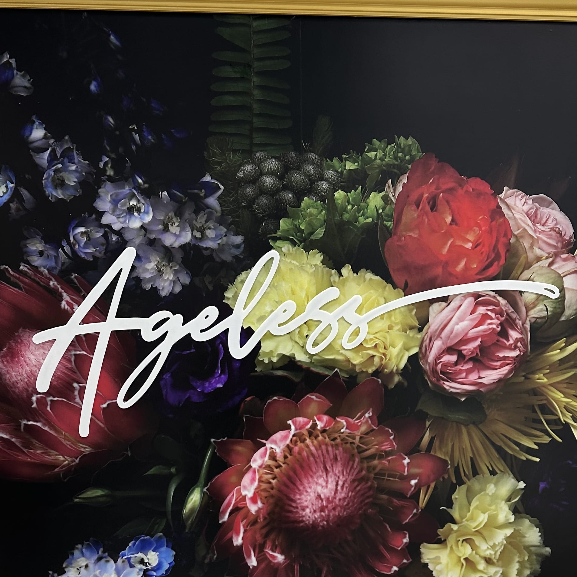 Ageless Las Vegas-avatar