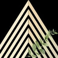 Alpine Aesthetics and Wellness -avatar