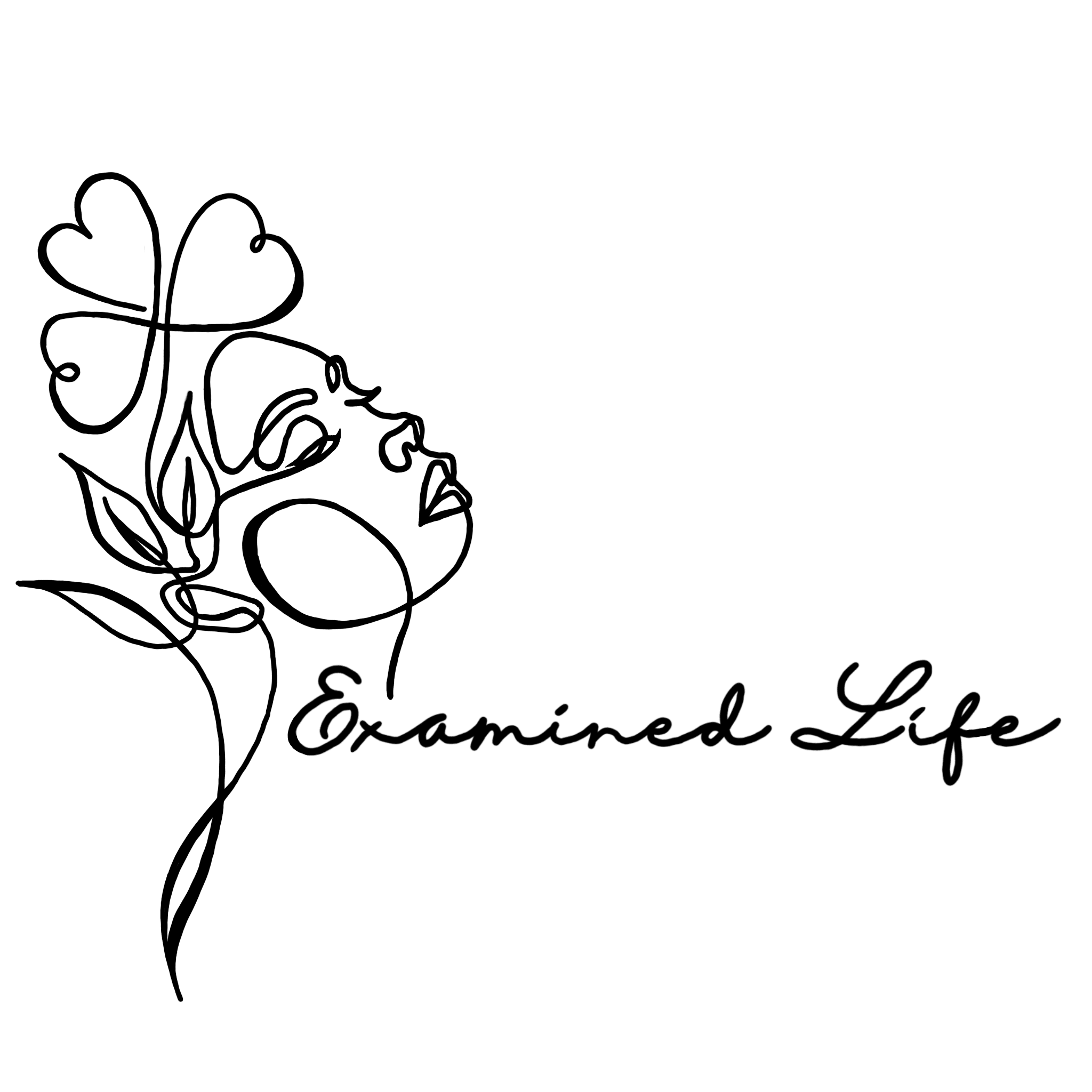 Examined Life-avatar