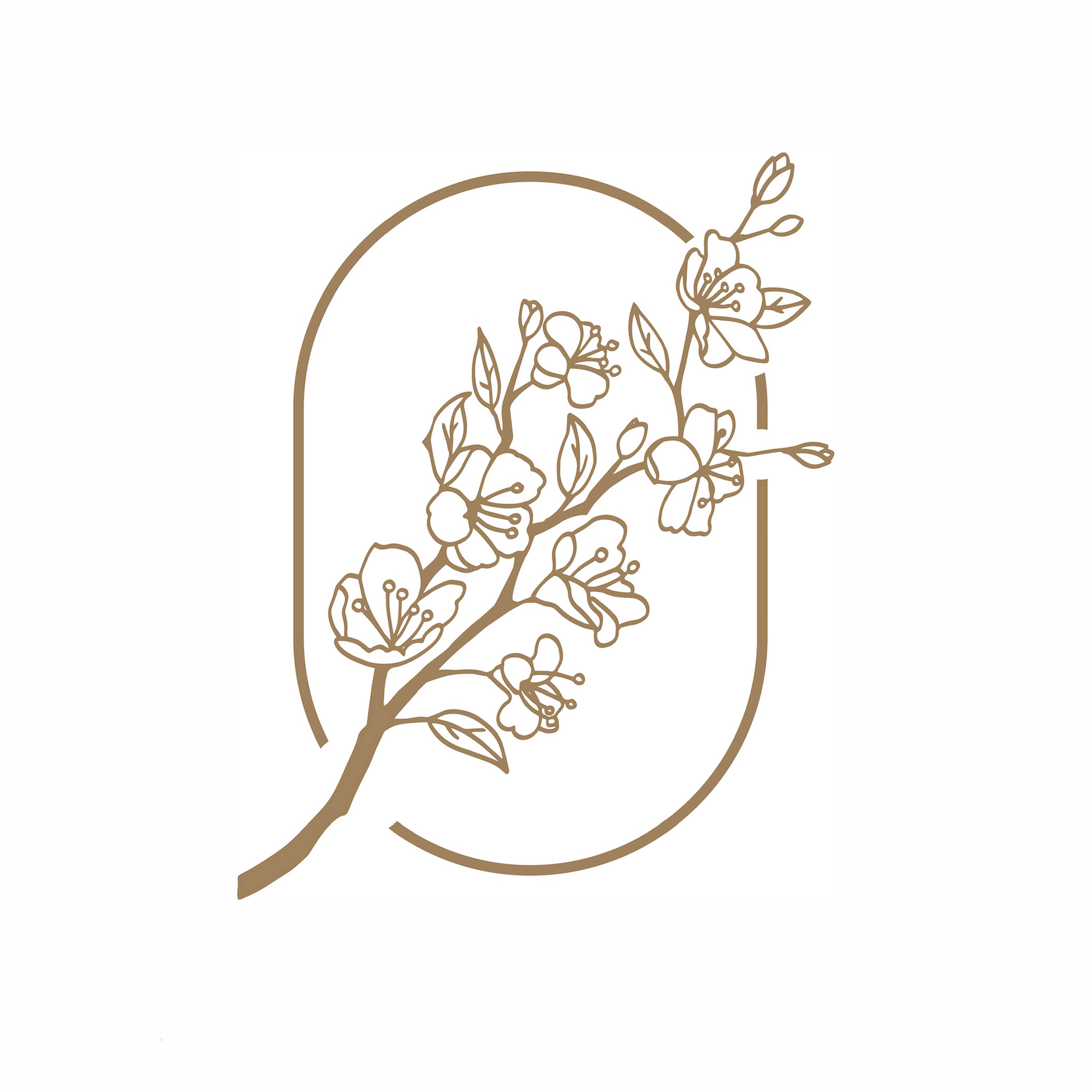 Dr Phillips Aesthetics-avatar