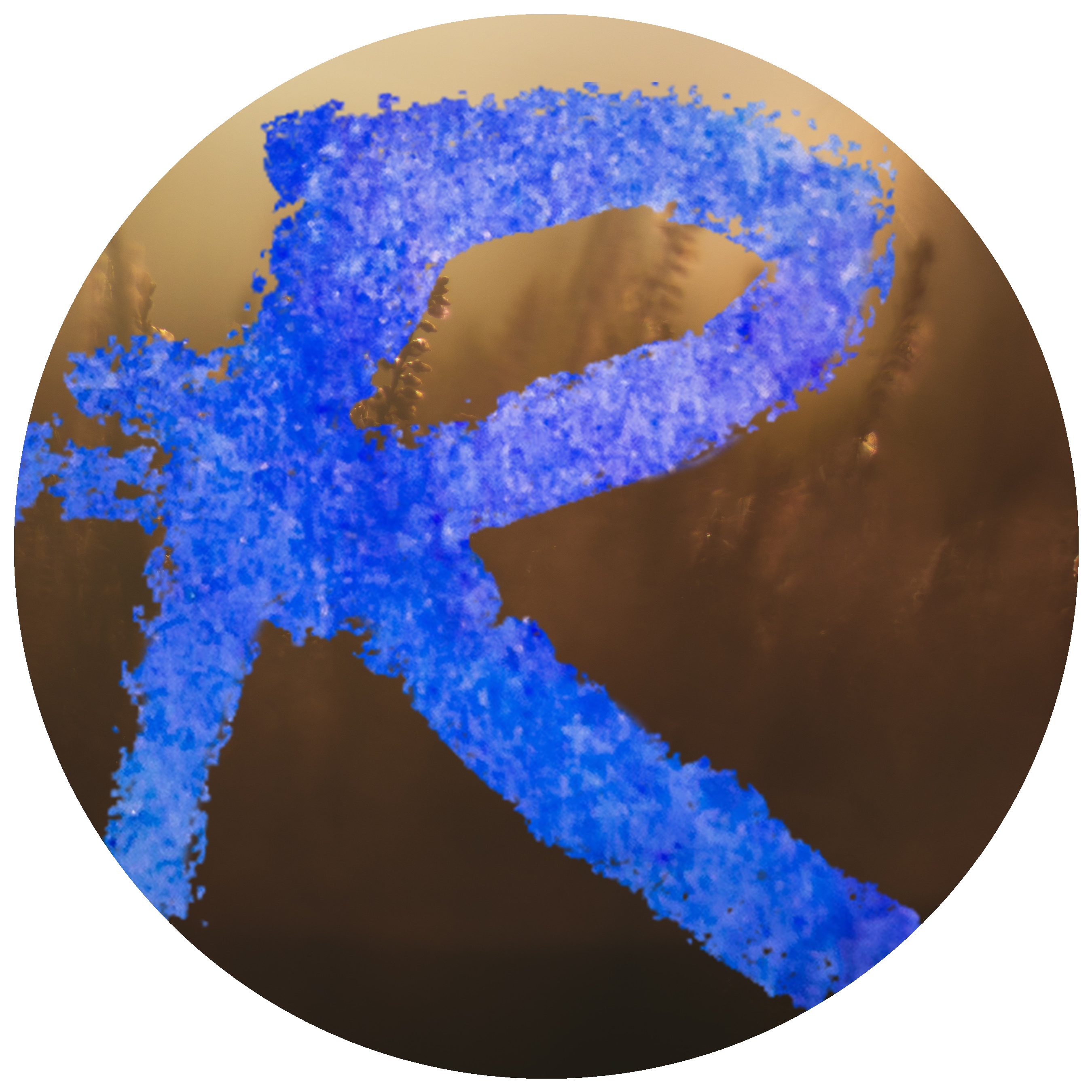 RevitalEyes Med Spa-avatar