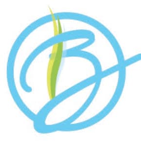 Bentley Skincare & Wellness-avatar