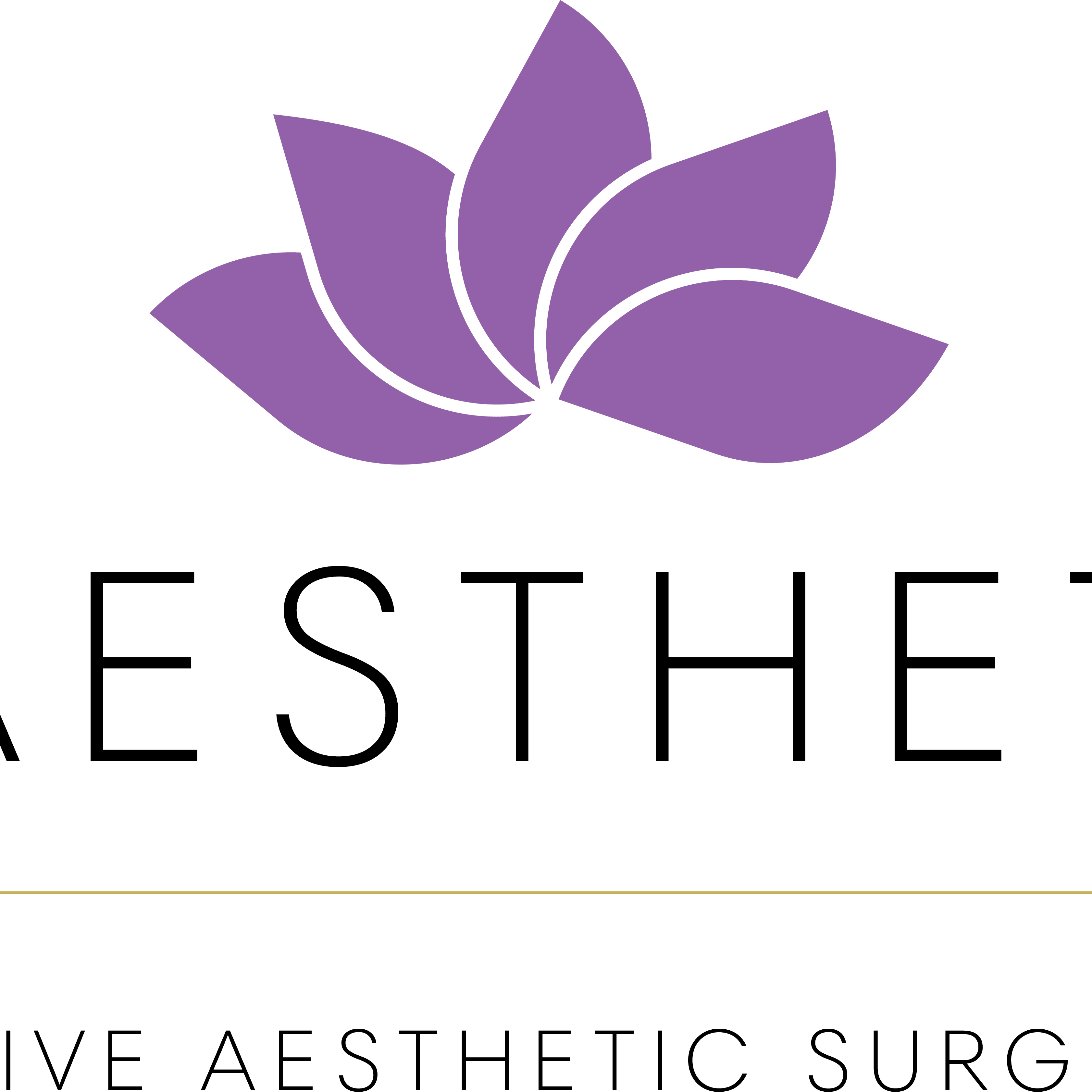 SY AESTHETICS-avatar