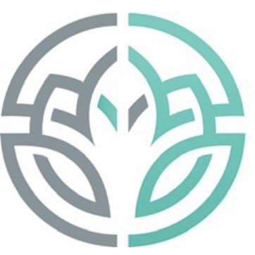 St Pete Wellness Med Spa-avatar