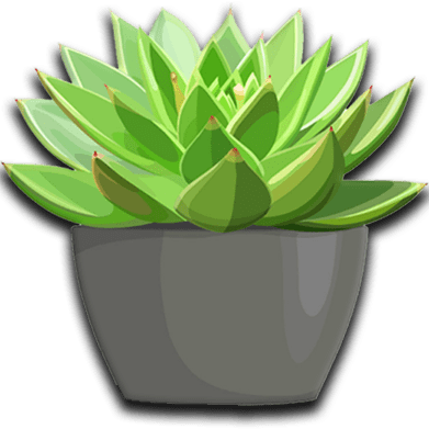 Sanda's Medi-Spa-avatar