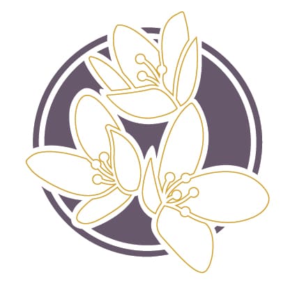 TREASURE VALLEY PLASTIC SURGERY & MEDICAL SPA-avatar