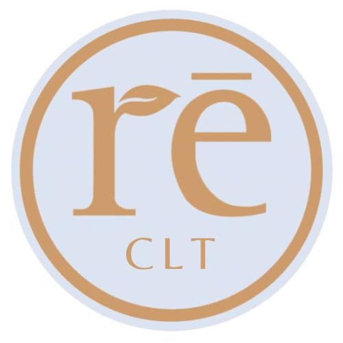 RE Salon and Med Spa-avatar