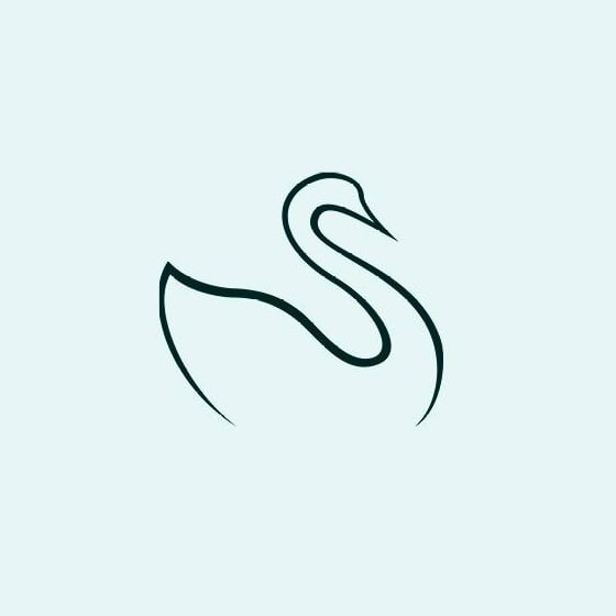 The Skin Center-avatar