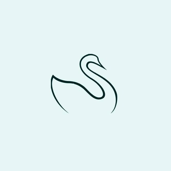 The Skin Center-avatar